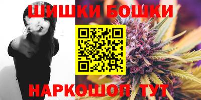индика Заволжье