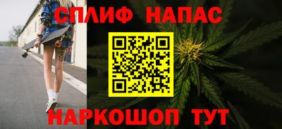 индика Заволжье