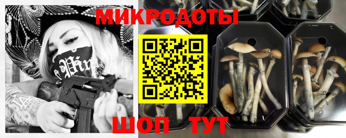 Псилоцибиновые грибы Magic Shrooms Чайковский